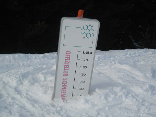 Snow indicator